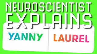 Neuroscientist Breaks Down Yanny vs Laurel Auditory Illusion [upl. by Farah]