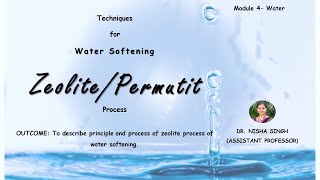 ZEOLITE PROCESS By Dr Nisha Singh [upl. by Neitsirhc]