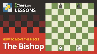 The Bishop  How to Move the Chess Pieces [upl. by Eedyaj]