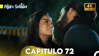 Pájaro Soñador Capítulo 72 Doblado En Español 4K [upl. by Broderick]