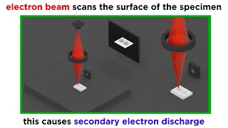 Electron Microscopy TEM and SEM [upl. by Ailongam220]