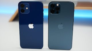 iPhone 12 vs iPhone 12 Pro  Which Should You Choose [upl. by Omsoc]