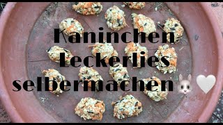 Leckerlies für Kaninchen selbermachenLieblingshäschen [upl. by Sessler]