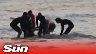 Surfer killed in shark attack on Australias Gold Coast [upl. by Yroggerg130]