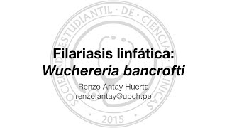 Filariasis Linfática Wuchereria bancrofti [upl. by Elrem]