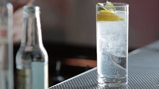 How to Make the Gin amp Tonic  Liquorcom [upl. by Tymes]