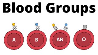 ABO Blood Group System AB0 Blood types amp compatibility explained [upl. by Charmine]