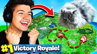 Using A CAT To WIN FORTNITE Battle Royale [upl. by Nibot294]