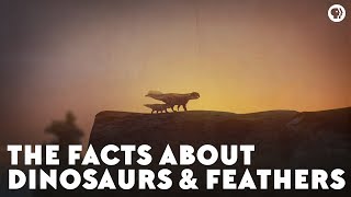 The Facts About Dinosaurs amp Feathers [upl. by Orat]