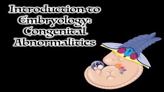 Congenital Abnormalities [upl. by Shaver818]