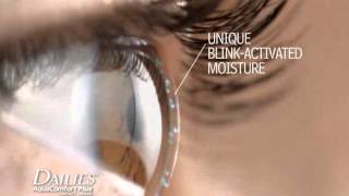 DAILIES® AquaComfort Plus® Contact Lenses [upl. by Assek]