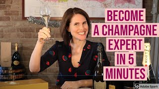 Understanding Champagne in 5 minutes or less [upl. by Cornia617]