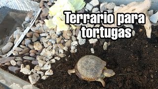 Como hacer Terrario para tortugas  Casa para tortugas [upl. by Bendicty]