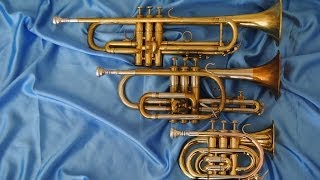 Comparison Pocket Trumpet Bb Trumpet and Cornet [upl. by Pyne647]