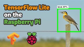 How To Run TensorFlow Lite on Raspberry Pi for Object Detection [upl. by Sumahs]