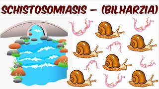 Schistosomiasis – Bilharzia [upl. by Eibreh]