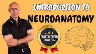 Intro to Neuroanatomy  Neurophysiology  Neuroscience  Central Nervous System [upl. by Asiaj]