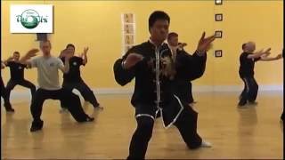 Tai Chi Fighting  Tai Chi Combat  5 Best Fight MovesAwesome [upl. by Krongold]