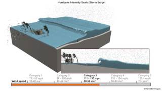 Hurricane Storm Surge [upl. by Hofstetter674]