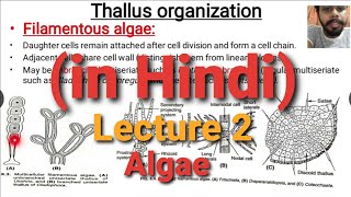 Algae Lecture 2  Thallus Organisation  in Hindi [upl. by Amsirahc]