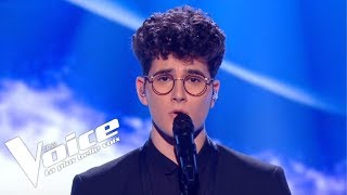 Daniel Balavoine  SOS Dun Terrien En Détresse  Gjons Tears  The Voice 2019  Live Audition [upl. by Yrrab396]