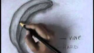 Charcoal Drawings  Learn to draw with charcoal [upl. by Ytissahc]