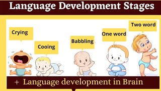 language development stages in childhood  babbling cooing [upl. by Inaboy]