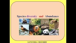 Species diversity and abundance [upl. by Adnalue260]