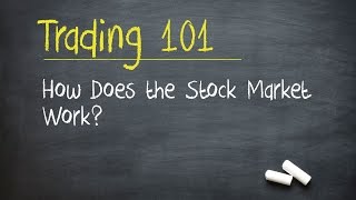 Trading 101 How Does the Stock Market Work [upl. by Laverna]