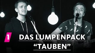 Das Lumpenpack quotTaubenquot  1LIVE Session [upl. by Maxama]