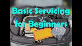 Audi TT mk1 Service  How to guide for beginners [upl. by Eberhart709]