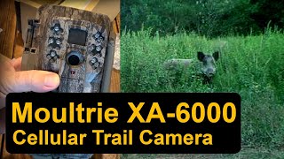 Moultrie Mobile Setup and XA6000 Cellular Trail Camera review [upl. by Landrum]