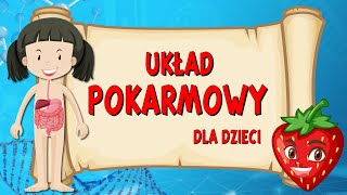 Układ pokarmowy 👅 Film edukacyjny dla DZIECI 🧒 [upl. by Herates617]