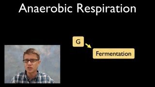 Anaerobic Respiration [upl. by Auqinat]