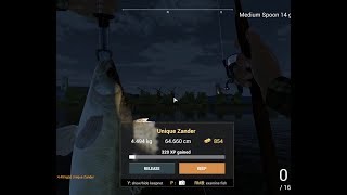 Fishing Planet – How to catch Unique Zander at GhentTherneuzen Canal Netherlands [upl. by Yttam568]