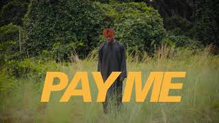 Oxlade  Pay Me Visualizer [upl. by Panthea]