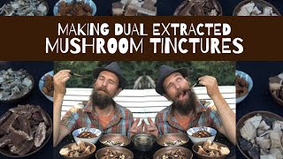 Making Dual Extracted Mushroom Tinctures [upl. by Ahsitram826]