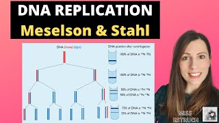 MESELSON and STAHL  Evidence of semiconservation replication for Alevel Biology DNA REPLICATION [upl. by Yecats]