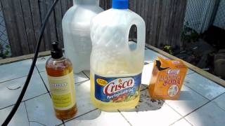 How to DIY Organic InsecticideFungicide recipe [upl. by Colier656]