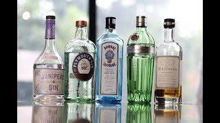 Gin Collection  Top 5 Diverse Picks [upl. by Sherurd]