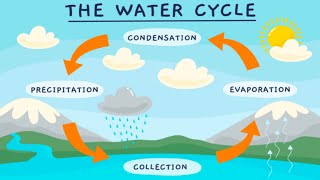 Water in Nature Rivers Lakes and Oceans [upl. by Ettevy]