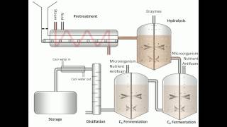 Process of Fermentation [upl. by Aenehs479]