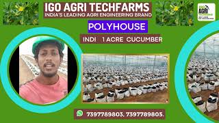 IGO Agri Techfarms Polyhouse Farming Projects [upl. by Tterrej]