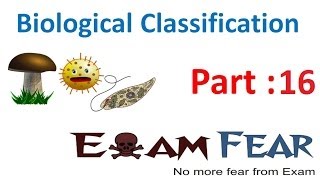 Biology Biological Classification part 16 Fungi reproduction CBSE class 11 XI [upl. by Vidal]