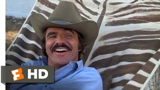 Smokey and the Bandit 110 Movie CLIP  A Real Challenge 1977 HD [upl. by La Verne170]