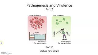 Pathogenesis and Virulence Virulence Factors [upl. by Juster]