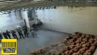 Shocking CCTV footage shows prison abuse in Brazil  Truthloader [upl. by Nnaylrebmik]