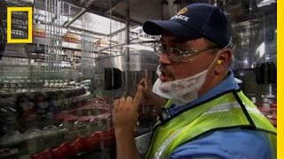 Bottling Bacardi  Ulitmate Factories [upl. by Suoiluj977]