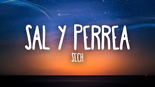 Sech  Sal y Perrea [upl. by Alleunam]