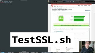 Check your SSL configuration using testsslsh [upl. by Neirda780]